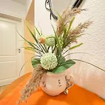 Seefisch Appartamento