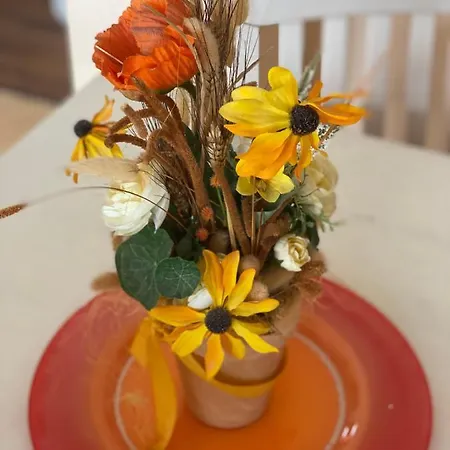 Appartement Seefisch *