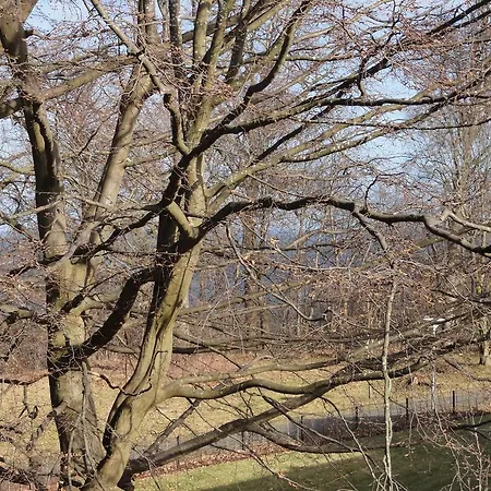 Seefisch Goehren (Ruegen)