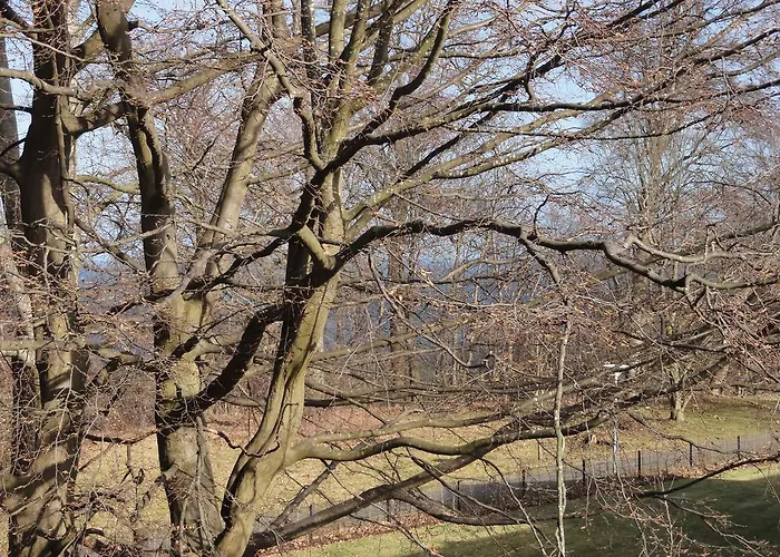 Seefisch Goehren (Ruegen)